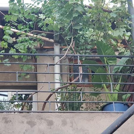 2 Santeli Turn Guest House 트빌리시 외부 사진